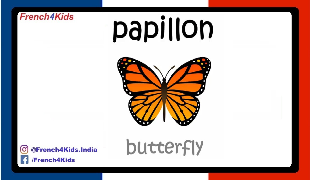 learn-french-online-butterfly-french4kids-french4kids-co-in