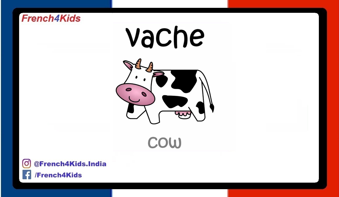 How To Say Fat Cow In French